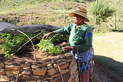 Thanks to keyhole gardening, introduced by CRS, Maabisi Phooko of Lesotho is able to grow vegetables year-round. Photo by Kim Pozniak/CRS