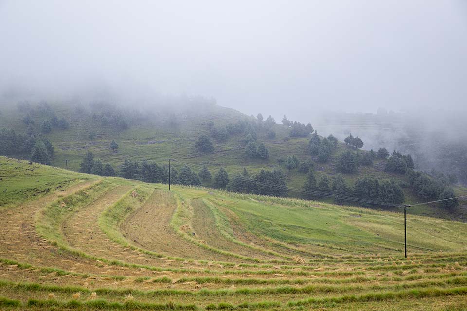 Lesotho range land