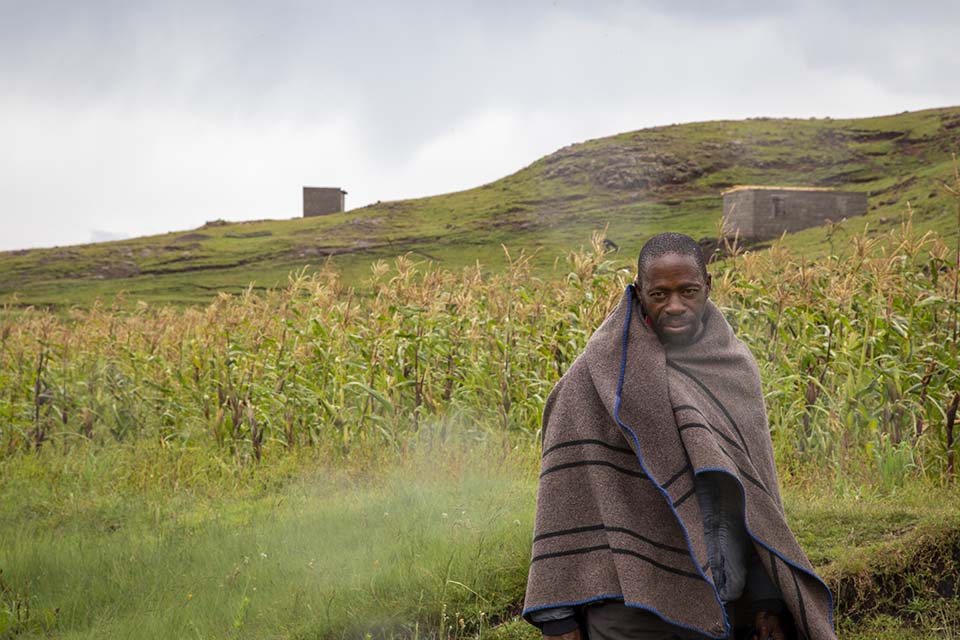 Lesotho herder in field facing camera