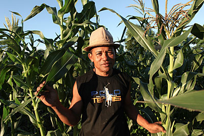 Thanks to drought-resistant seeds and irrigation methods introduced by CRS and our partner in Madagascar, farmer Robin Rasamimanana has a heartier maize crop despite rain shortages. Photo by Sara A. Fajardo/CRS