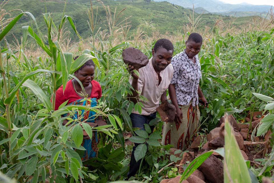 Malawi farmers repair stone wall