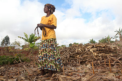 Mary Kamangeni surveys her cornfields in Malawi. To help improve her crop yields, she uses conservation agricultural methods—including crop rotation, composting and mulching—she learned from a CRS-led partnership. Photo by Sara A. Fajardo/CRS