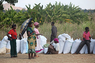 Chili farmers wait to sell their peppers at a monthly buyers market in Malawi. Photo by Sara A. Fajardo/CRS