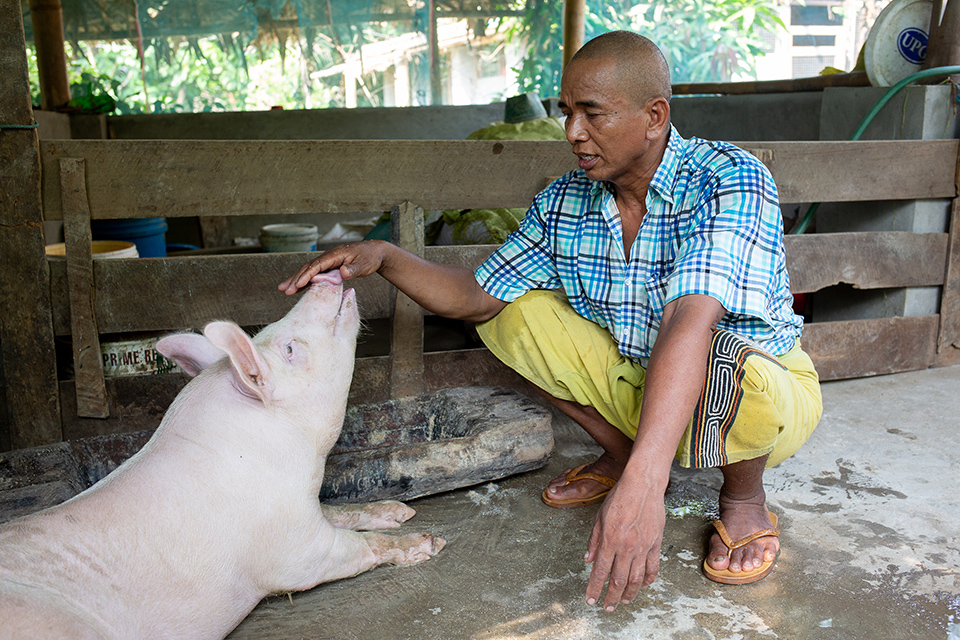 Myanmar agriculture