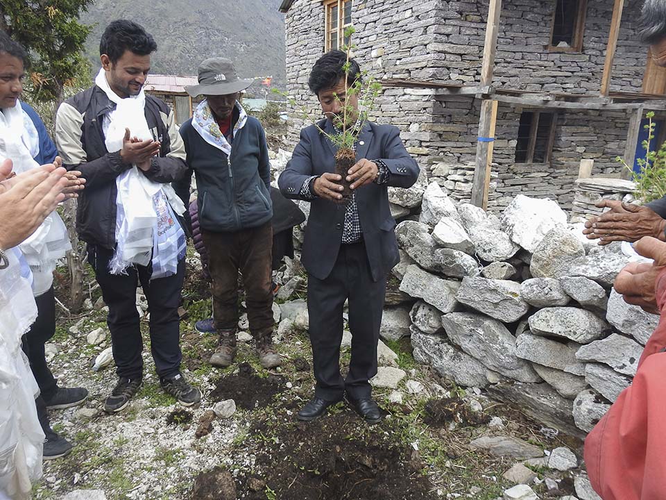 Nepal tree planting
