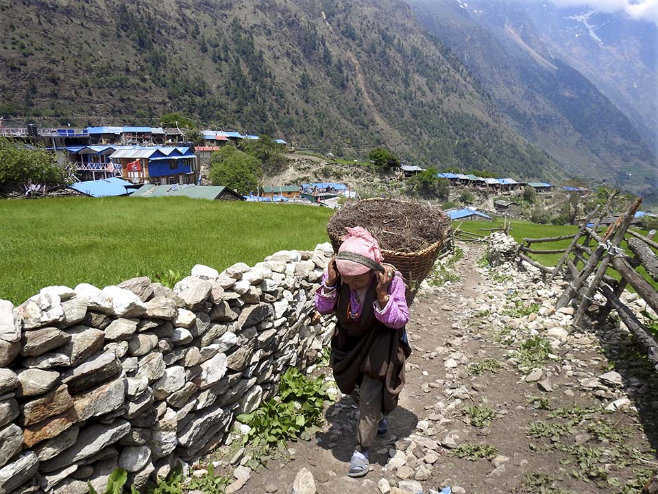 Nepal woman carrying large basket