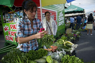 A group of women, Dios Proveera (God will Provide), grows and distributes vegetables as part of a savings group activity in San Antonio village near Estelli town in Nicaragua. Photo by Karen Kasmauski