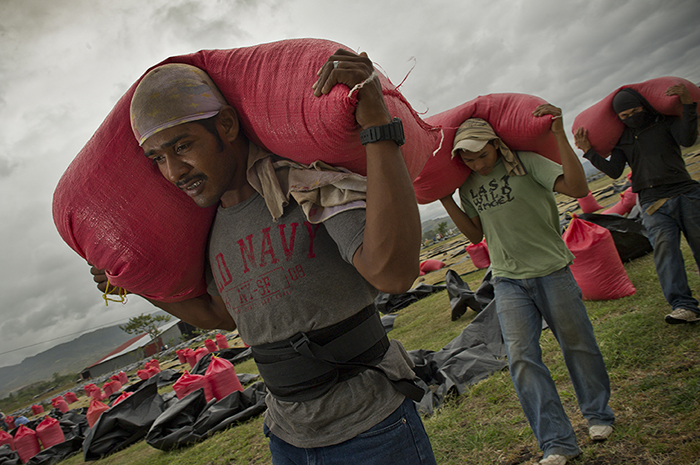 Workers in Nicaragua carry bags of coffee beans into the factory for processing. Photo by Karen Kasmauski for CRS