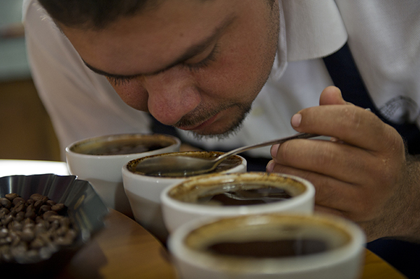 Ivan Quintel performs a sensory test called “cupping” to test the quality of various coffees.
