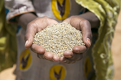 CRS cash-for-work emergency response programs ensure that people recovering from natural and man-made disaster can earn money to feed their families and rebuild their livelihoods. Photo by Michael Stulman/CRS