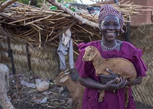 Niger farming