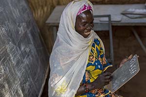 Niger literacy