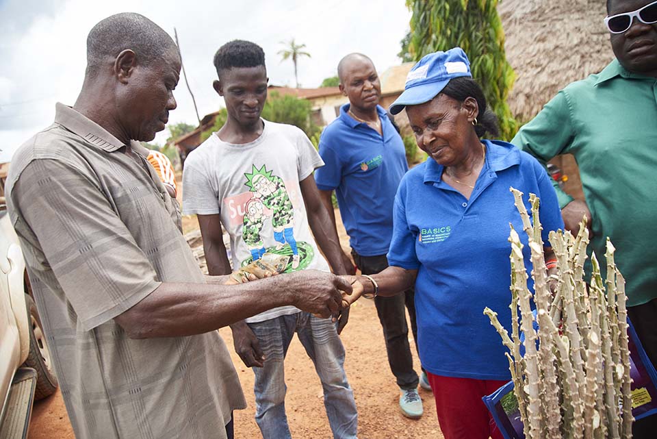 cassava sale at Nigerian market