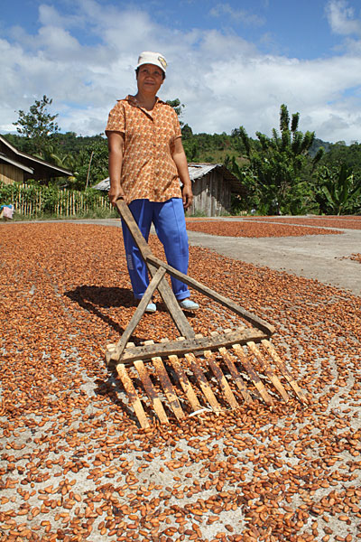 Mary Mercy Pelaez, a widow with 8 children, rakes cacao beans. She supports her family with profits from her cacao sales. Photo by Laura Sheahen/CRS