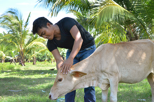 philippines peacebuilding