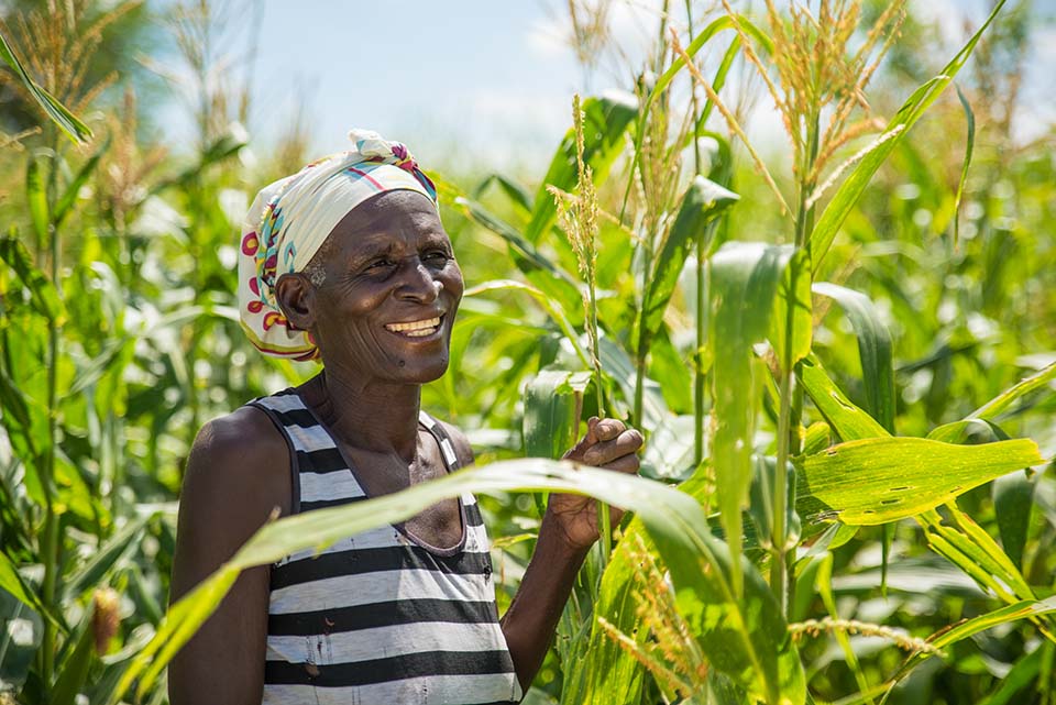 Malawi woman in corn field