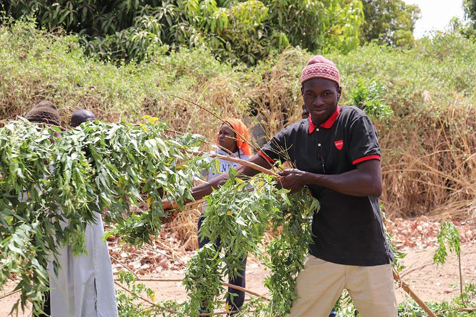 preparing compost materials in Senegal