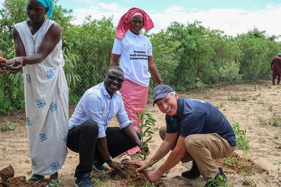 reforestation project planting in Senegal 