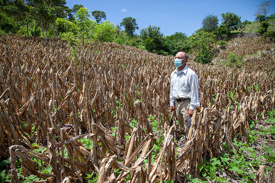 A farmer in Guatemala stands in his field. Using water-smart agriculture, he has been able to improve his harvest.