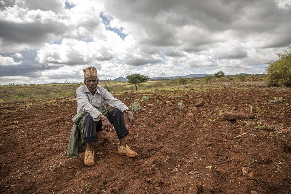 A farmer in Kenya sits in the middle of his farm, which has been overwhelmed by locusts.