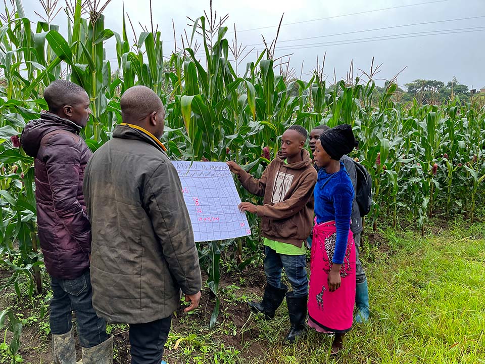 reviewing planting calendar in Tanzania