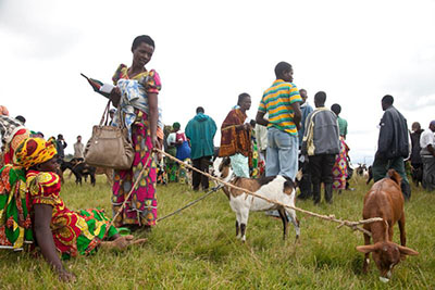 Therese Umuhire of Rwanda looks at the goat she just purchased with a CRS voucher and sees much more—a cow. Photo by Laura Elizabeth Pohl for CRS.