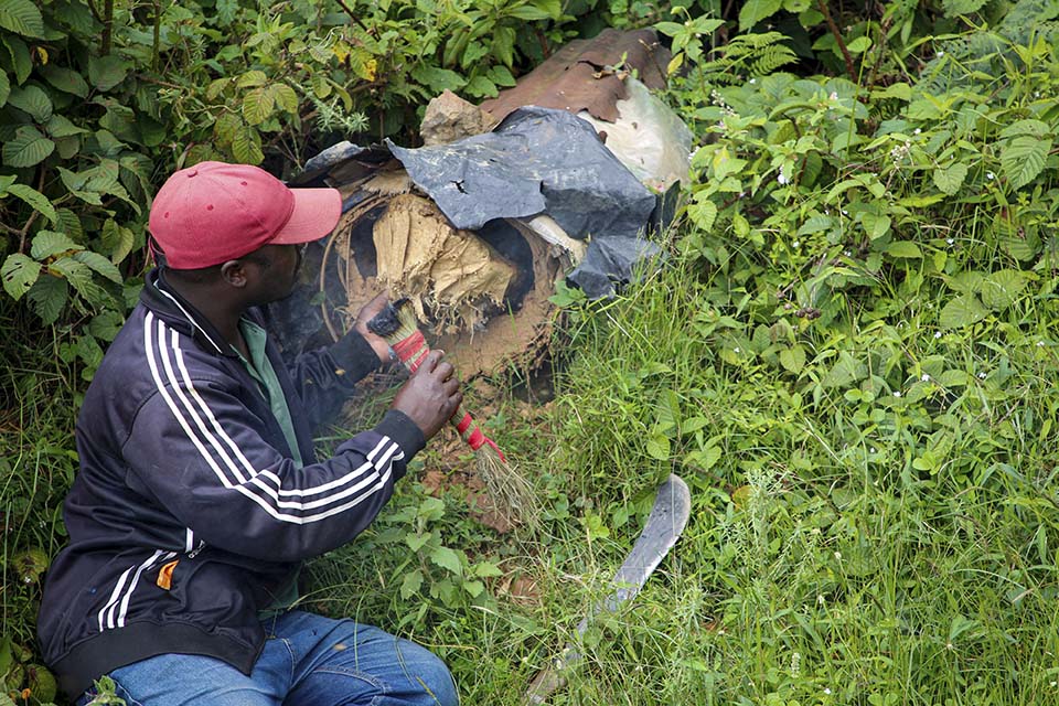 Rwanda beekeeper tending a hive
