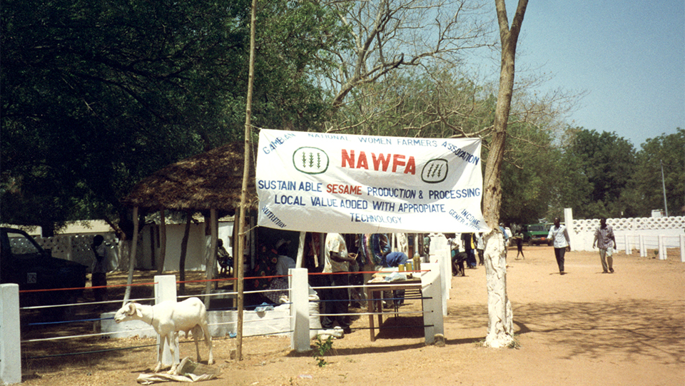 sesame growers association in The Gambia