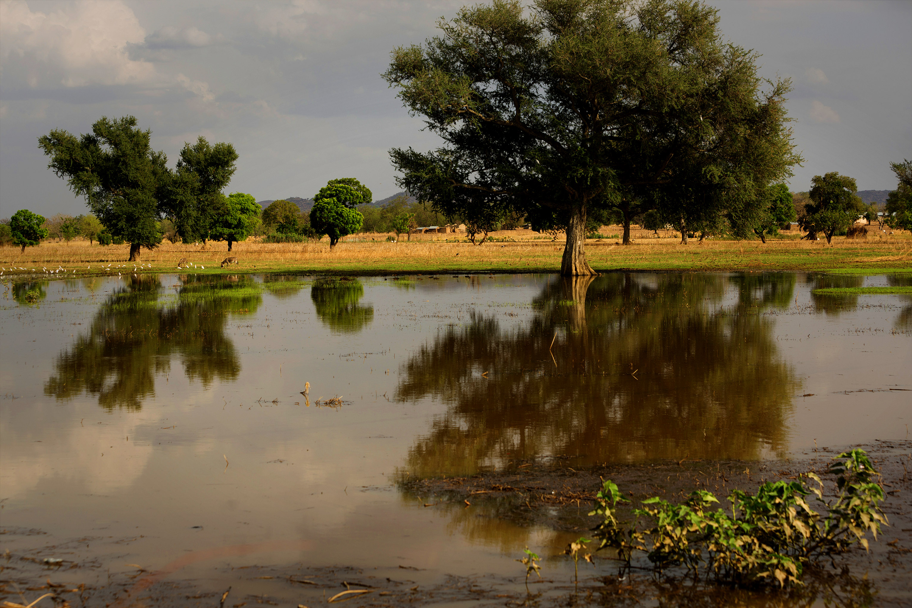 As temperatures increase, sea levels will rise, causing flooding to homes along the coastal regions of Ghana. It’s estimated by 2020, there could be a seal level rise of 5.8 cm in some places. Photo by Jake Lyell for CRS