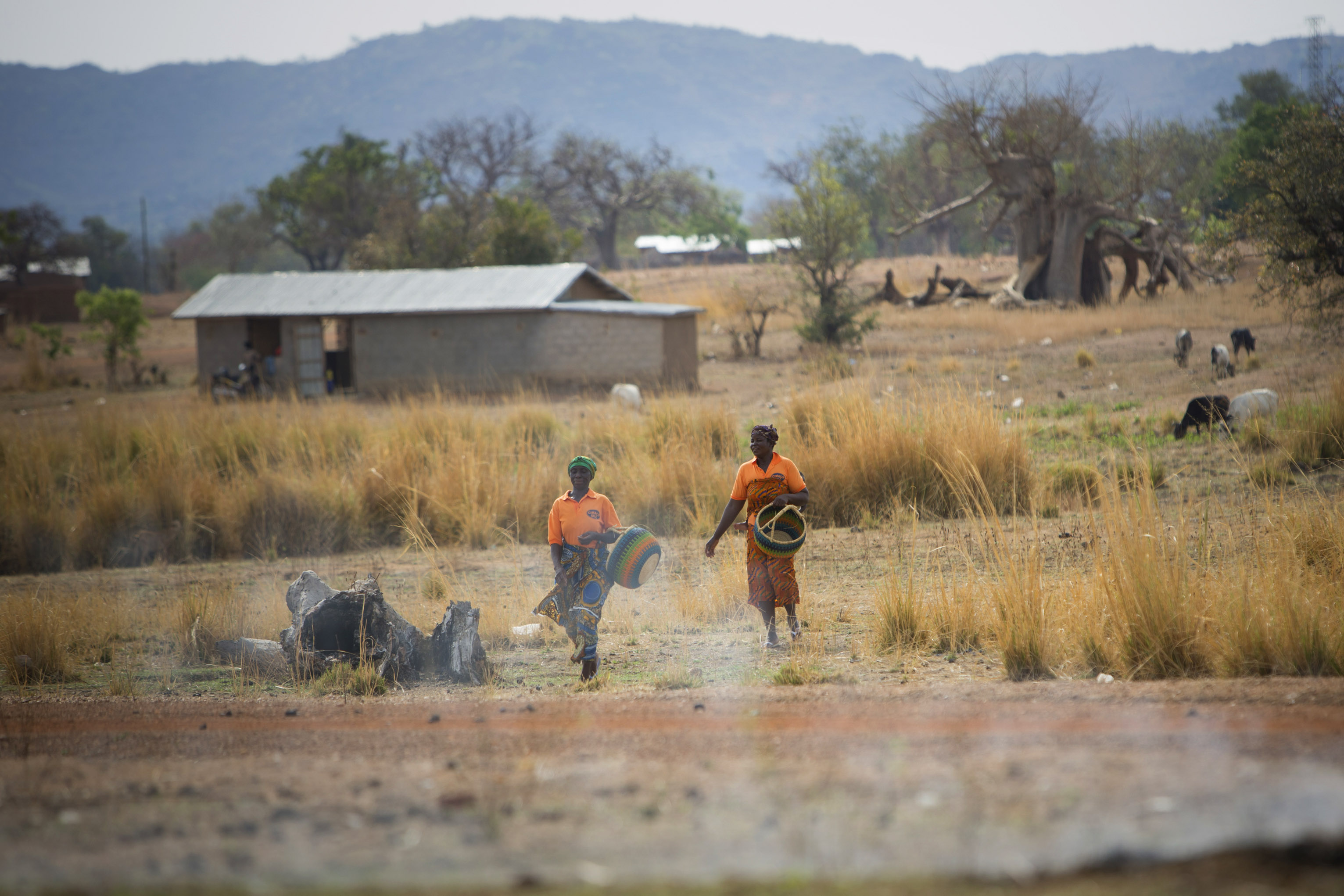 Rising sea levels and increased temperatures are causing a unique effect in Ghana. Photo by Jake Lyell for CRS