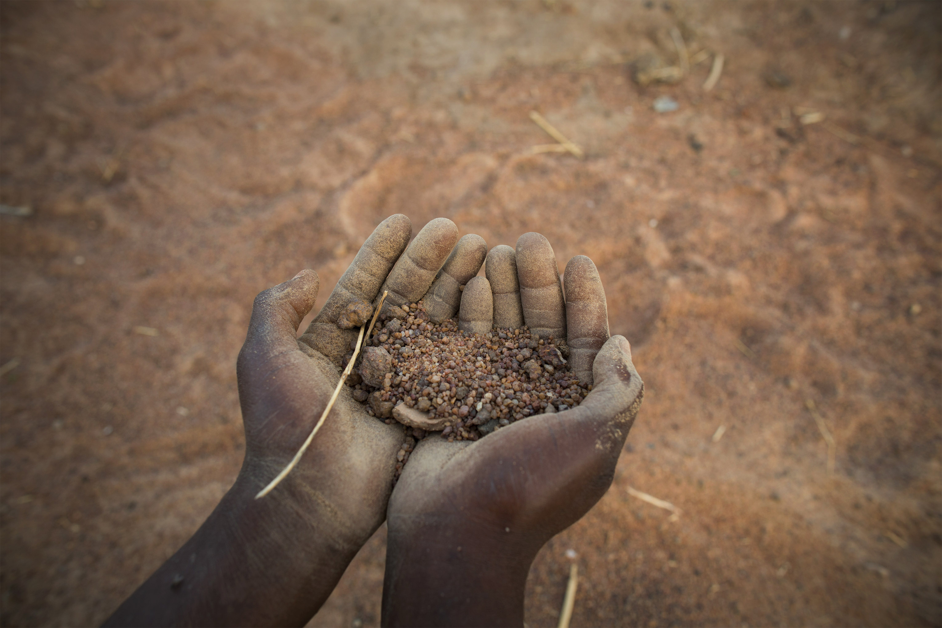 Drought is leaving people in Ghana with long dry seasons and little rainfall. Crops like mangoes, pineapples, papaya and coffee suffer. Still, farmers continue to make strides understanding the climate and their land. Photo by Jake Lyell for CRS