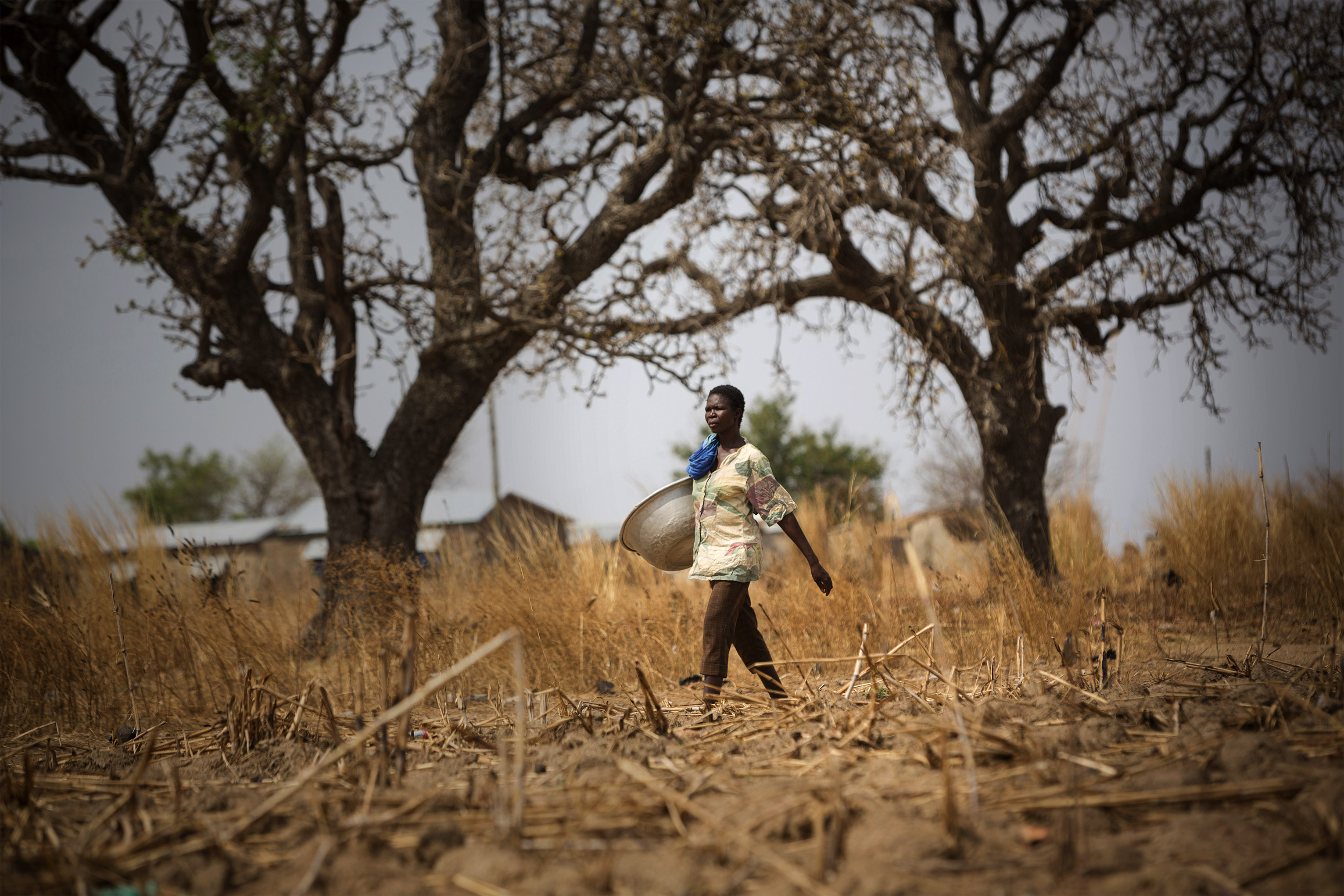 About 70% of the population depends directly or indirectly on agriculture (fisheries, crop and animal farming) and the forest sector. Photo by Jake Lyell for CRS