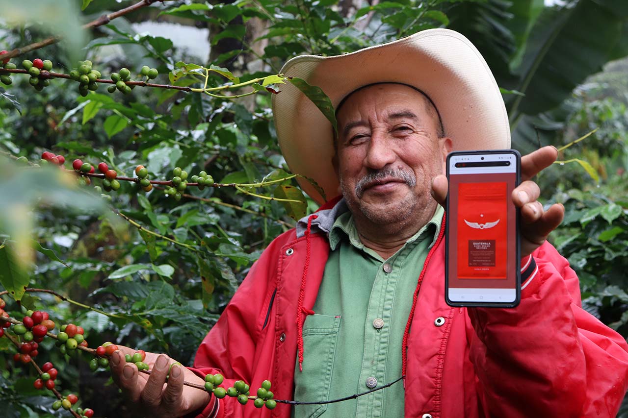 smiling facing camera coffee grower in Guatemala