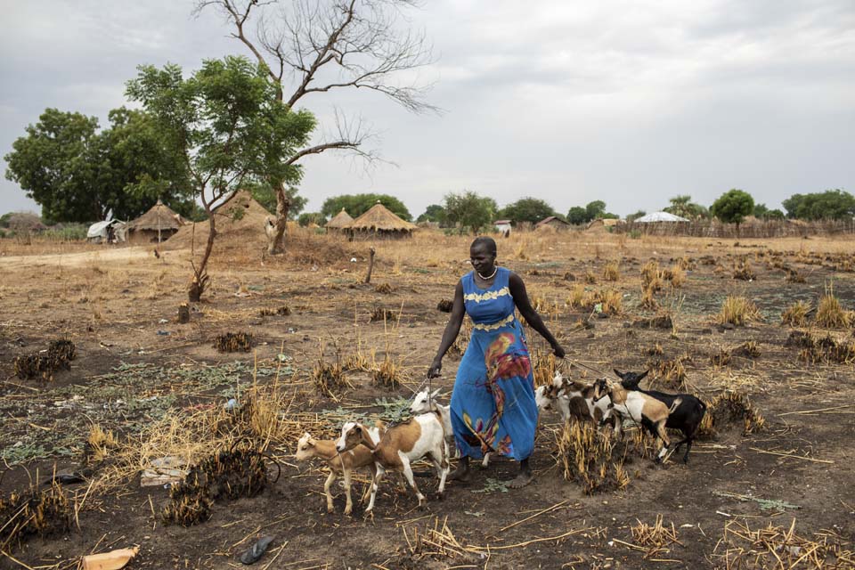 woman tends goats in South Sudan