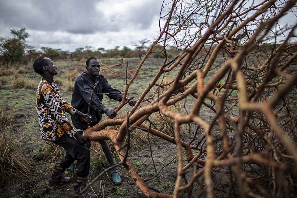 South Sudanese road crew removes tree