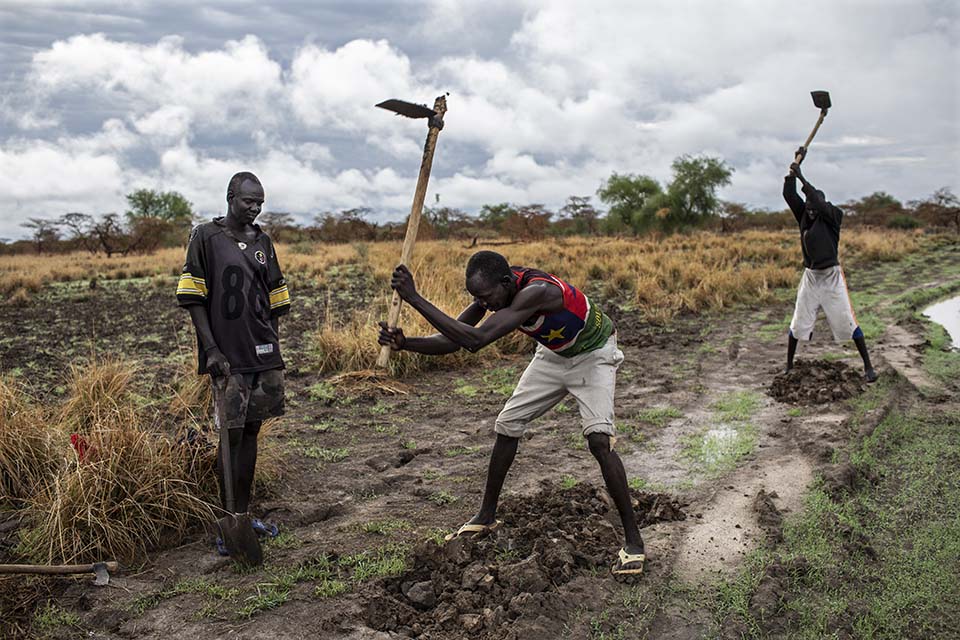 South Sudanese road crew swinging hoes