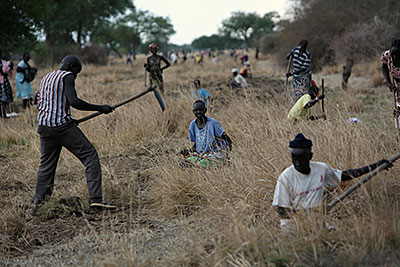 Residents from the village of Manydeng in South Sudan clear land to prepare for road construction. They are part of a CRS-led program that pays them in food for work building critical infrastructure in their new nation. Photo by Sara A. Fajardo/CRS