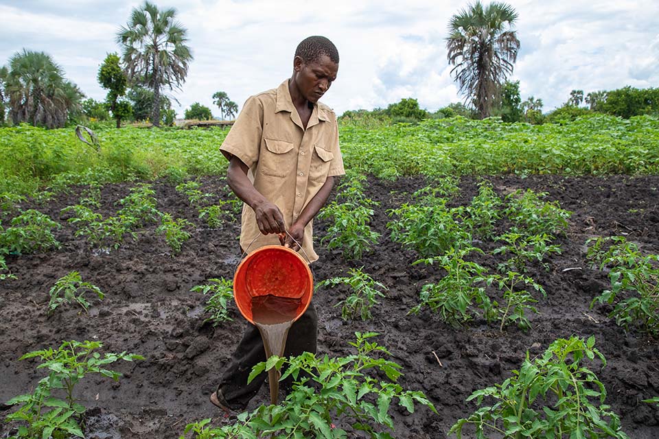 man waters crops in Tanzania