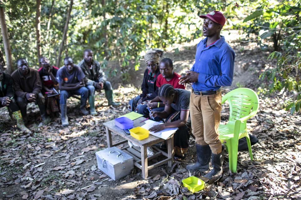 Tansania coffee producer group