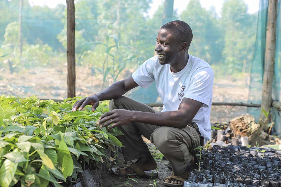 tending seedlings in Uganda