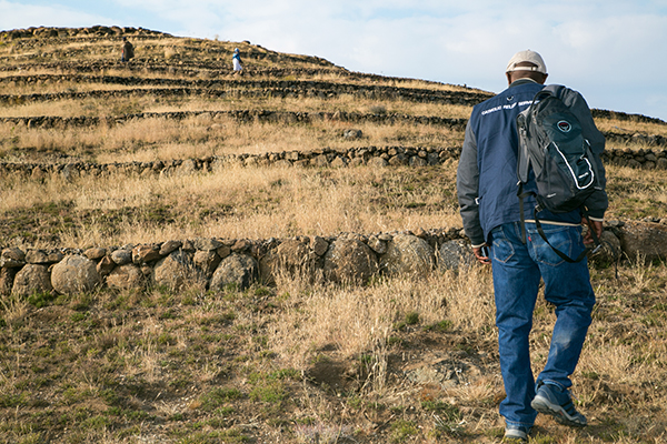 terraced mountainside in Lesotho