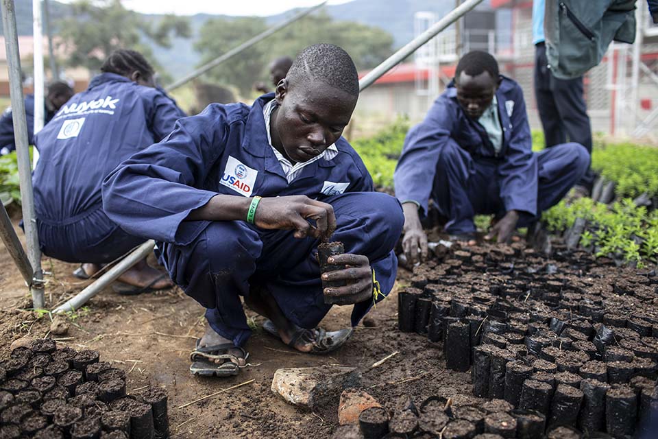 Uganda agroforestry students