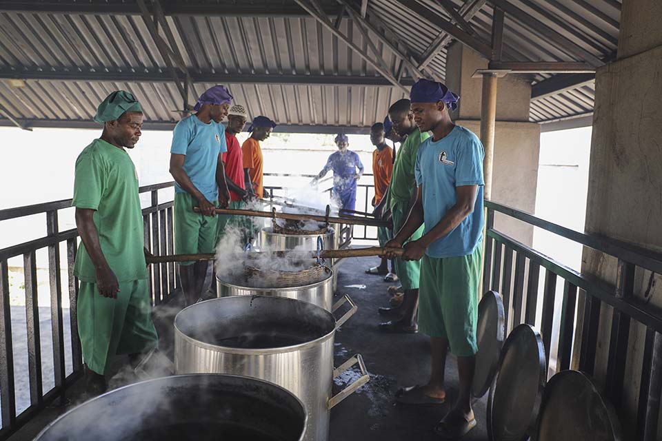 Uganda Green vanilla boiled
