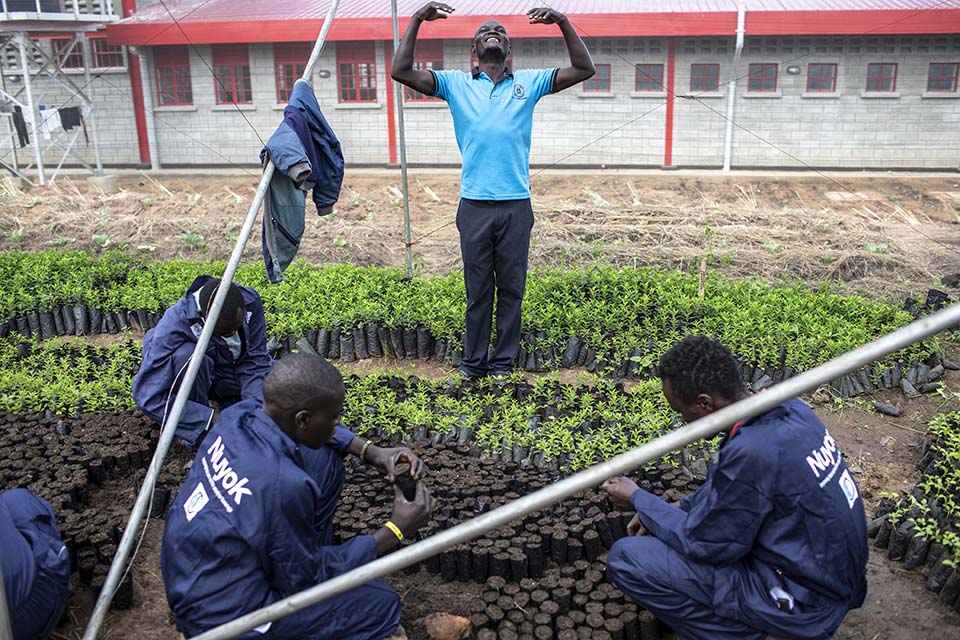 Uganda agroforestry instructor