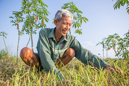 Photo by Lisa Murray for CRS Cao Van Tue is witness to the dramatic results of CRS’ livelihood resilience project in central Vietnam with a 30% increase in yield of peanuts in just one year.