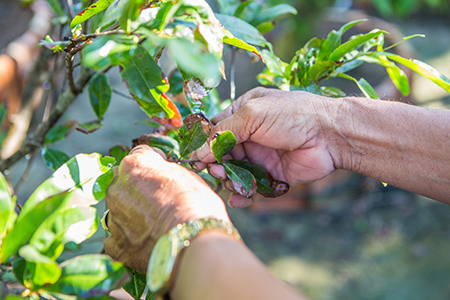 Ba’s business continuity plan has allowed him to save income on ineffective climate mitigation responses in favor of effective action to safeguard his business.