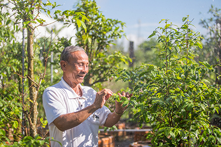 Nguyen Van Ba’s income is secure since strengthening his plant business by participating in a CRS severe weather project.