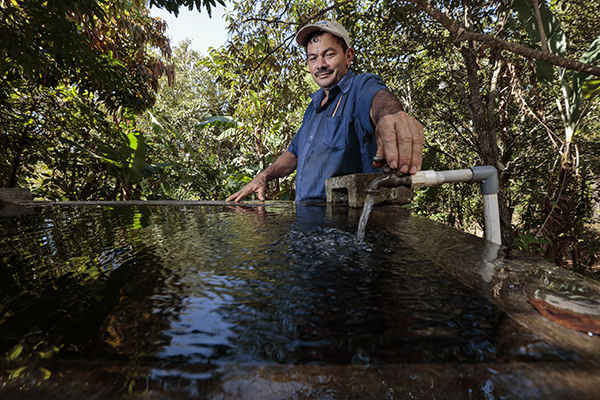 water for bees