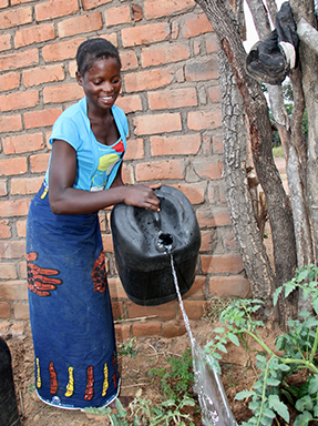 watering garden in Zambia