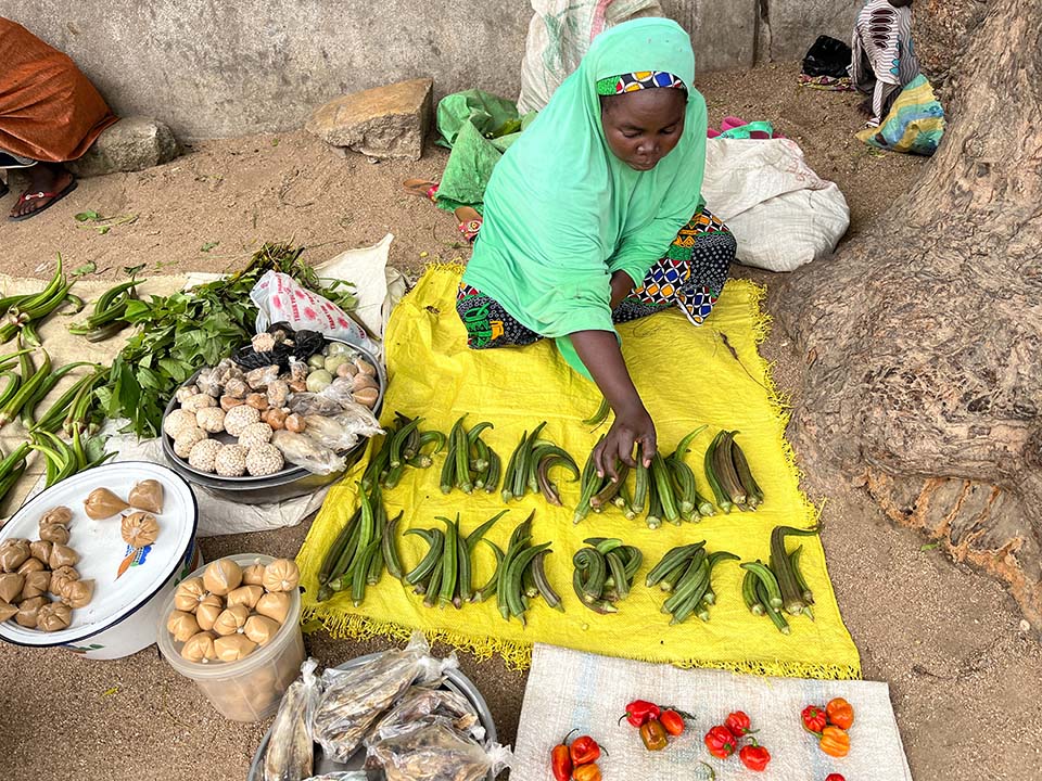 woman in cameroon arranging produce for sale